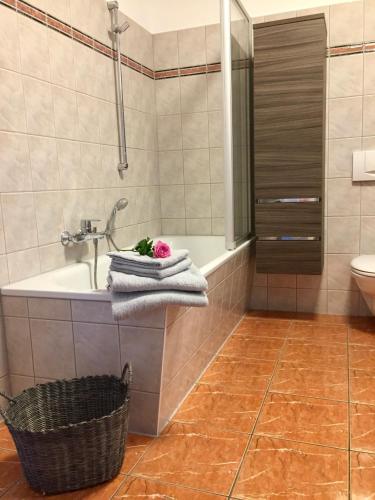 Ferienwohnung am Wasser Villa Graf von Pfeil, Dresden (photo 9)