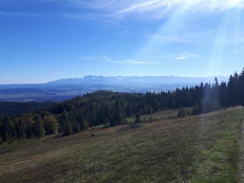 Bacówka w sercu gór - dom z bali w Gorcach Bacówka w sercu gór - dom z bali w Gorcach