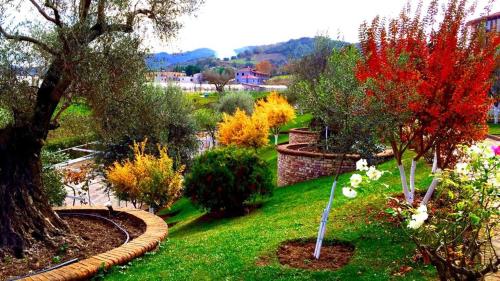 Park Ashik, Tirana (foto 11)