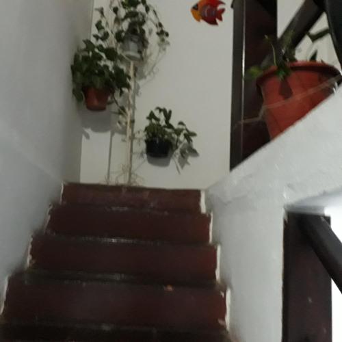 Hotels Image