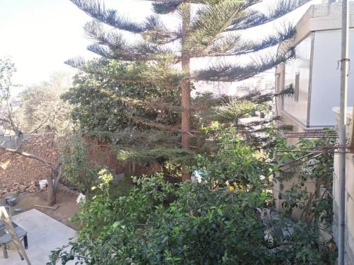 Aman Hostel photo
