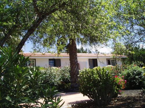  Casitas Vista Valle Alto in El Paso