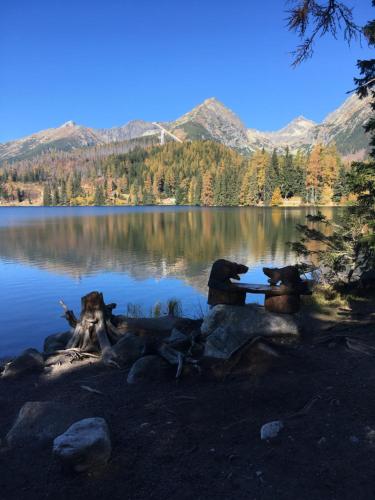 Apartman Panorama 213, Štúdio Comfort obrázok