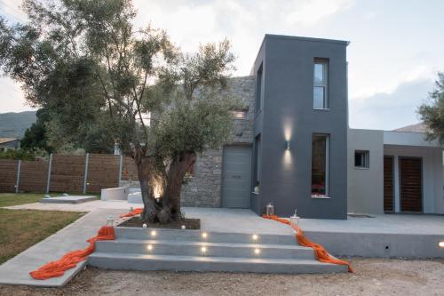 Lefkas Villas Lefkas Villas