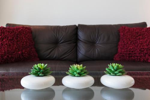 Samui Emerald Apartment B5 เกาะสมุย %name Samui Emerald Apartment B5 เกาะสมุย