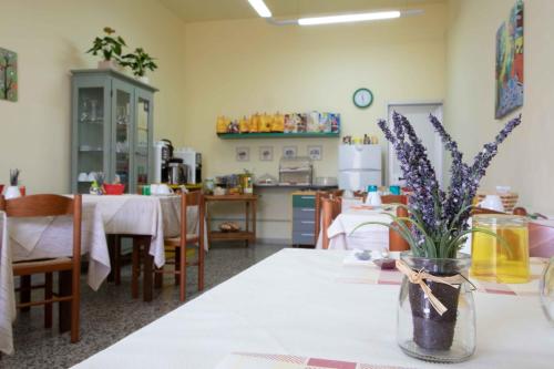 Al Frantoio Maddii Levane bed and breakfast