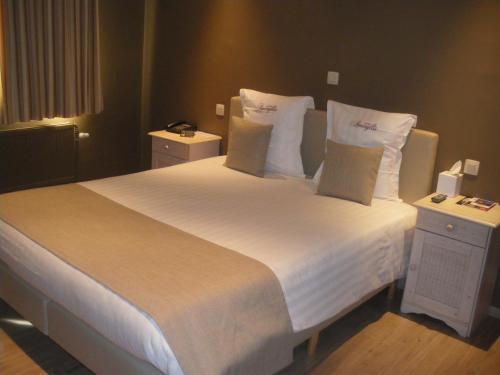Hotel Amaryllis - image 7