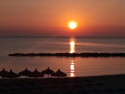 Appartamento Alba Rosa