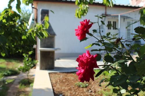 Kantrida Home