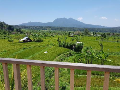 villa mega view