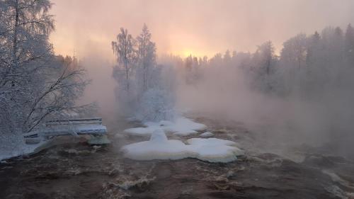 Ylä-Saarikko Holiday Cottages