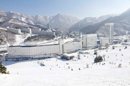 Naeba Ski Resort & Fuji Rock