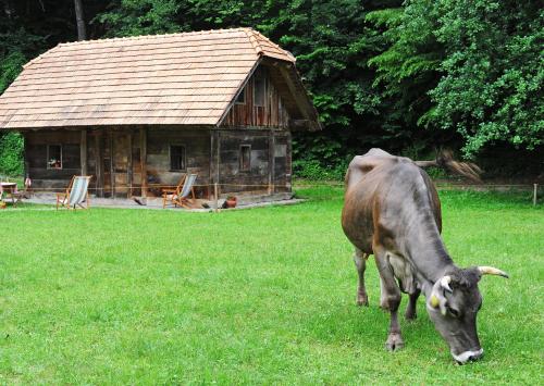 Turistična kmetija Šeruga - image 13