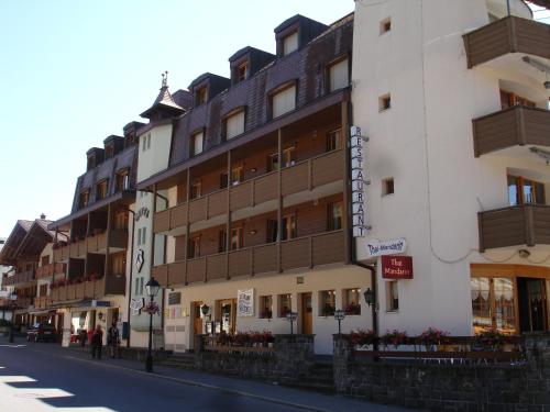 Hotel Viktoria Eden - image 13