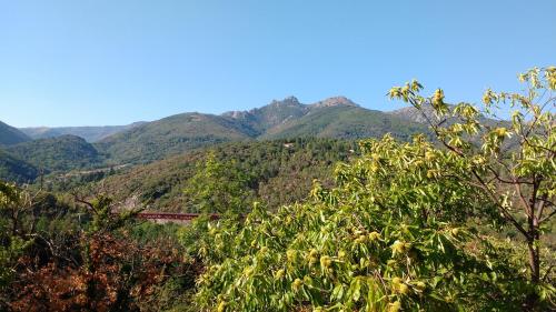 منظر, Les volets bleus in Narbonne