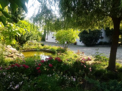 Apartamenty Za Murem - image 10