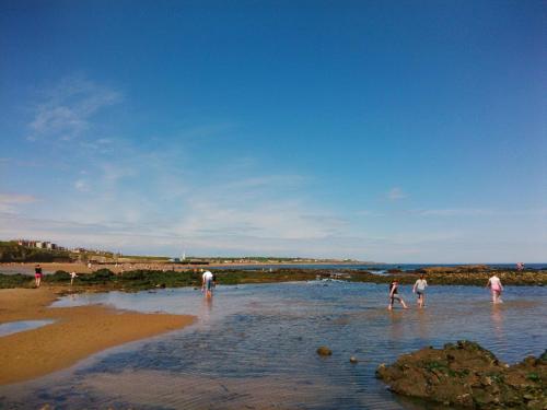 Picture of Roker Seafront Apartments