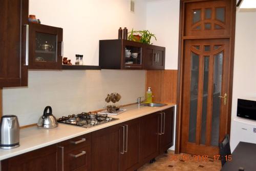 Sunny apartment in the city Center in Truskavets