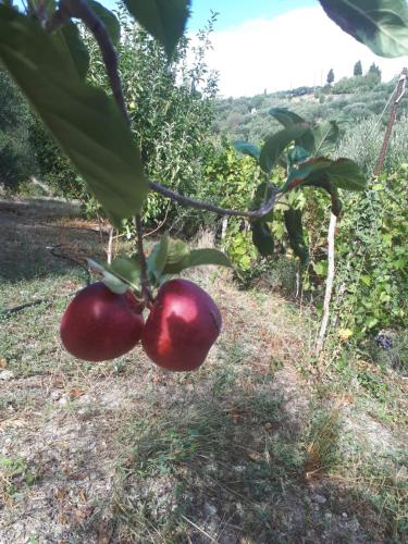 Villa Irini - Cretan Luxury Villa with Amazing View