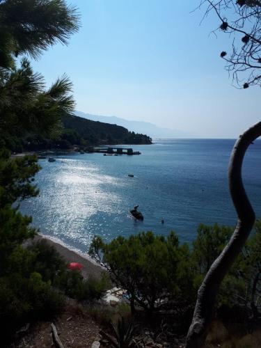 Apartments Gandalj 4