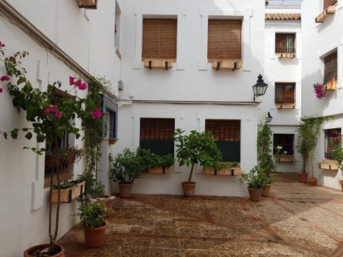 El Patio De La Aljama, Кордова (фото 5)