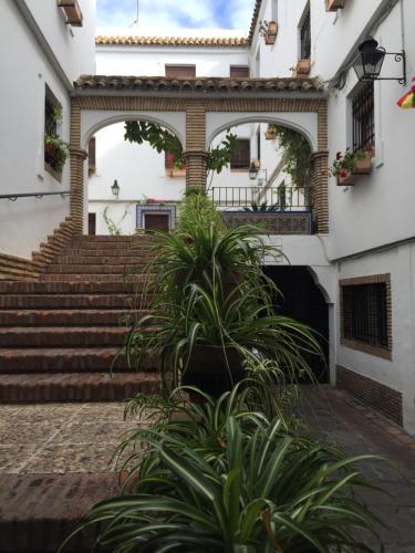 El Patio De La Aljama, Кордова (фото 3)