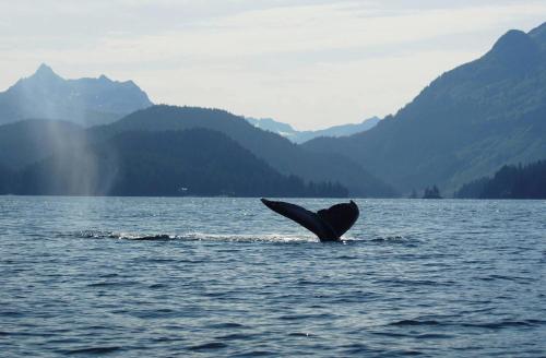 Between Beaches Alaska