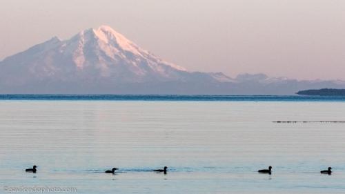 Between Beaches Alaska