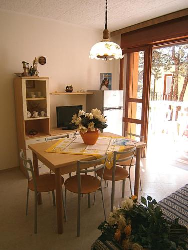Castore - image 11