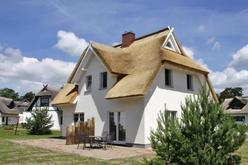 Haffmuschel in Zirchow, Deutschland