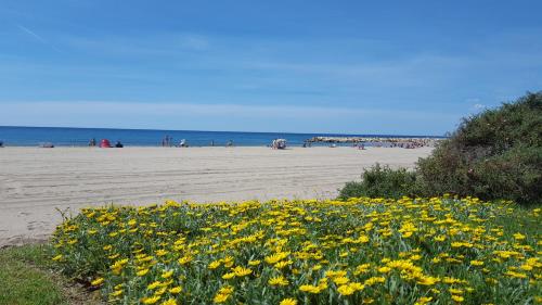 Camping La Llosa - image 4