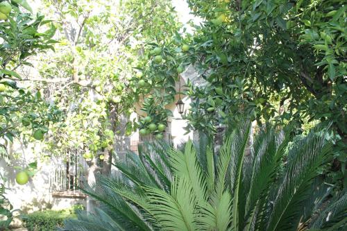  La Lanciolla in Maddaloni