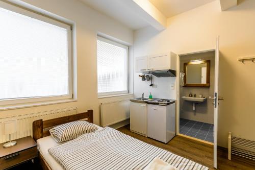 Žižkov Cosy Studio Apartments, Прага (фото 9)