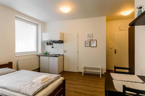 Žižkov Cosy Studio Apartments, Прага (фото 8)