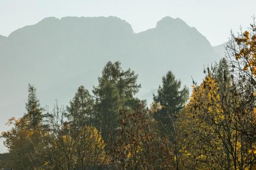 Rent like home - Kasprowicza III - image 4