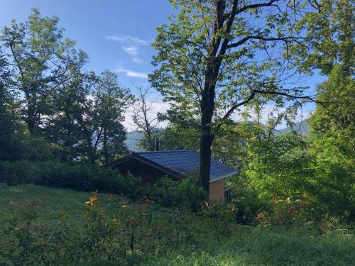 Rifugio Nel Bosco - Apartment - Astano