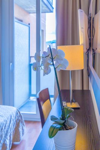 Suite Hotel Elite - image 7
