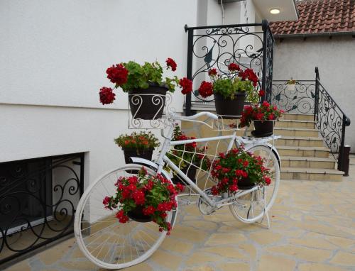 Lux Apartmani Vesna 2 - image 2