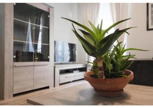 Two-Bedroom Apartment image 9