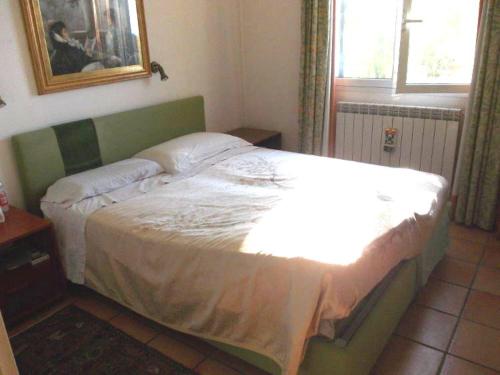 Lupo Solitario