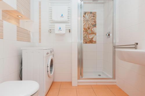 One-Bedroom Apartment image 2