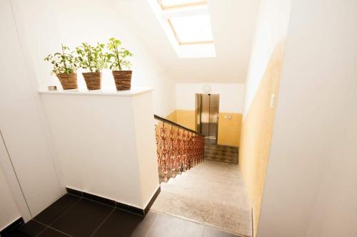 Kozna Loft - image 12
