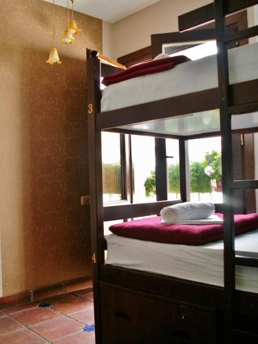 Oasis Backpackers' Hostel Granada - image 4