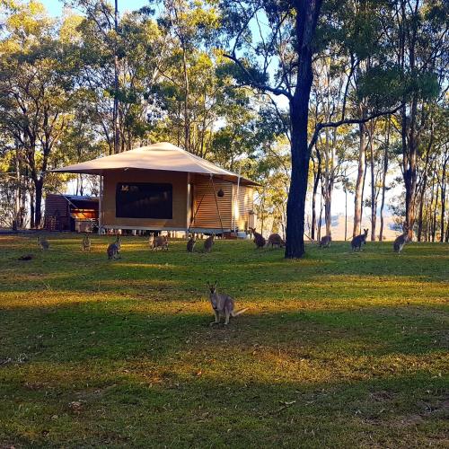 Ketchup's Bank Glamping