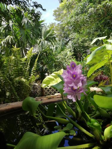 Mayan Bungalow Near Chichen in Chichen Itza