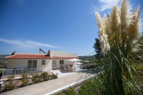 The Olive Grove Villa Private Pool with star links WiFi