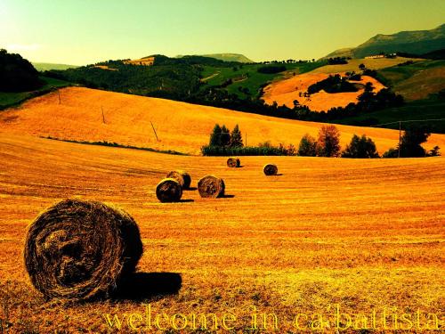 Agriturismo Il Fienile di Cà Battista