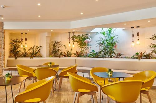 โฮเทล คลับ เลอ แปล็ง ซุด วาก็องซ์ เบลอ (Hotel Club Le Plein Sud Vacances Bleues) in ไฮเยเรส