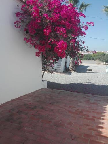 Monte da Lagoa - image 12