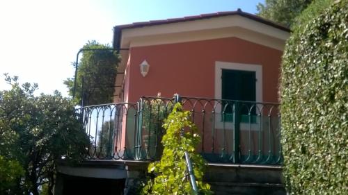 maru, Levanto (Foto 6)